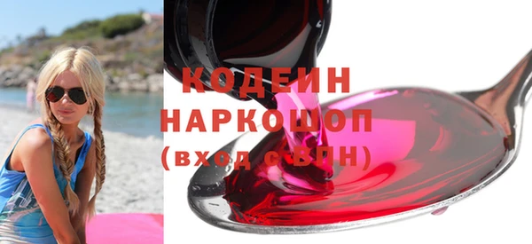 молекула духа Костерёво