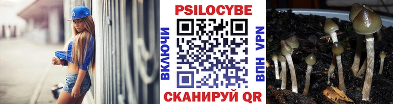 Псилоцибиновые грибы Psilocybe  МЕГА онион  Троицк  хочу  