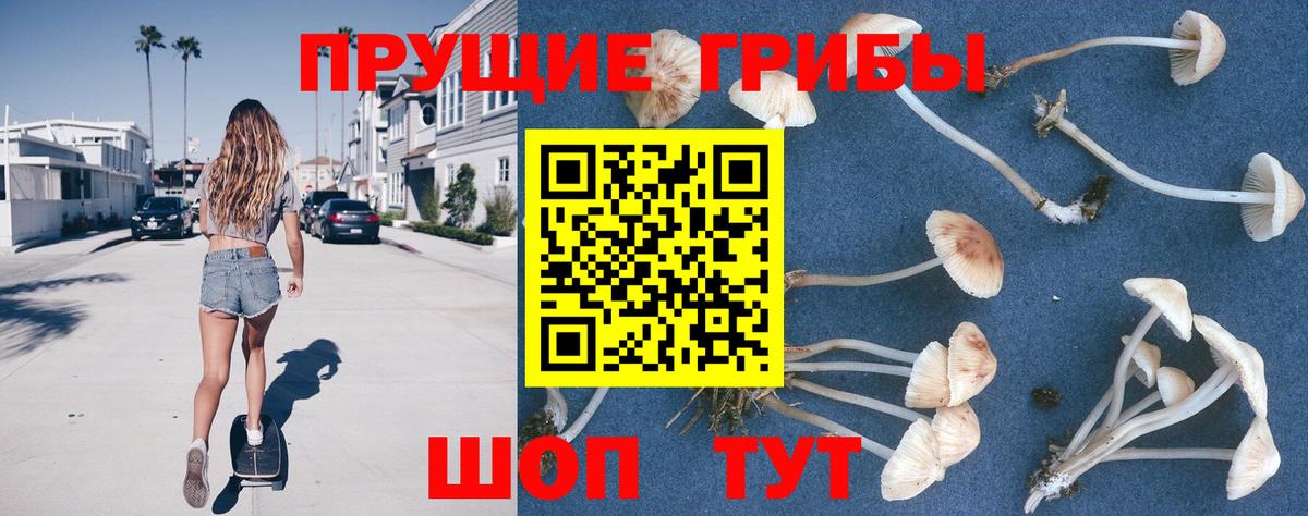 Галлюциногенные грибы мицелий Троицк